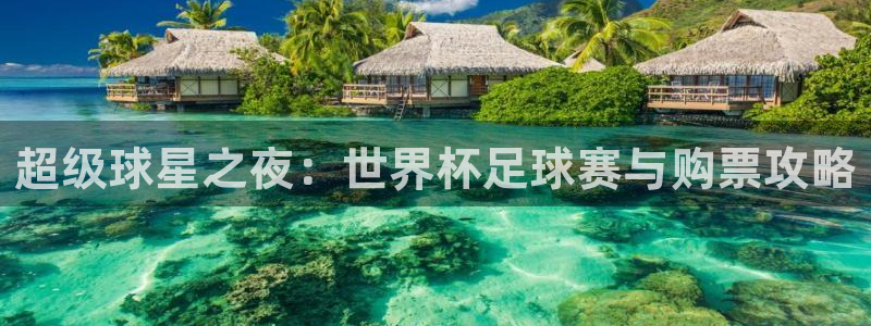  超级球星之夜：世界杯足球赛与购票攻略
