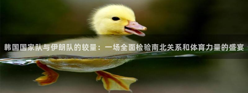 韩国国家队与伊朗队的较量：一场全面检验南北关系和体育力量的盛