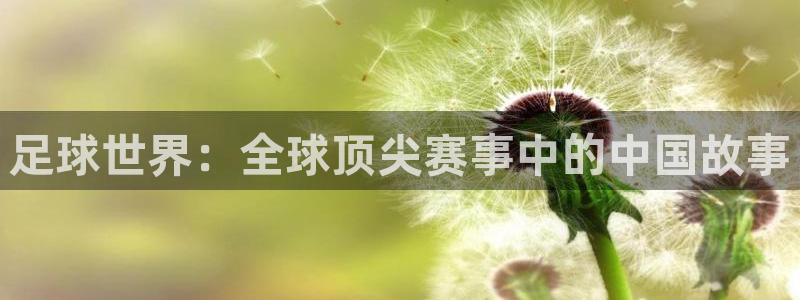 足球世界：全球顶尖赛事中的中国故事