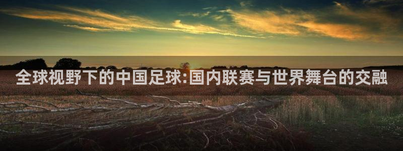 全球视野下的中国足球:国内联赛与世界舞台的交融