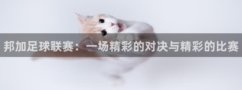 邦加足球联赛：一场精彩的对决与精彩的比赛