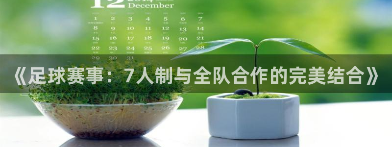 《足球赛事：7人制与全队合作的完美结合》