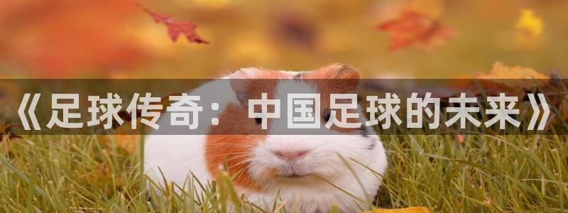  《足球传奇：中国足球的未来》