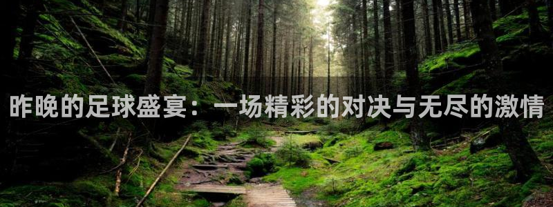 昨晚的足球盛宴：一场精彩的对决与无尽的激情