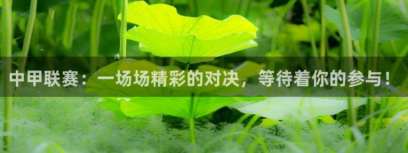 中甲联赛：一场场精彩的对决，等待着你的参与！