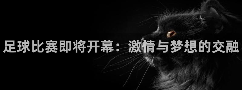  足球比赛即将开幕：激情与梦想的交融