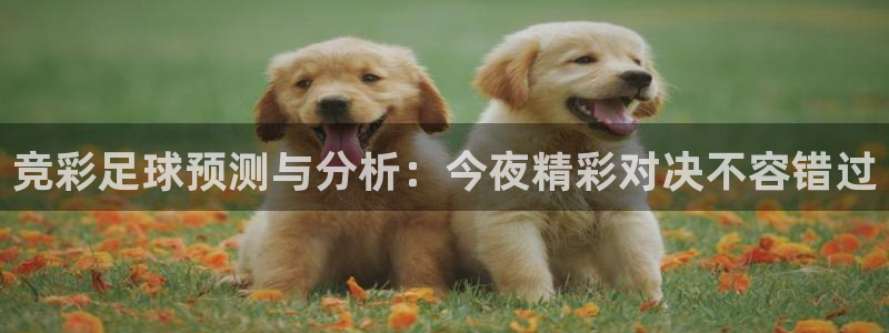  竞彩足球预测与分析：今夜精彩对决不容错过