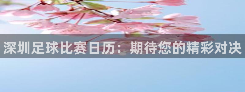  深圳足球比赛日历：期待您的精彩对决