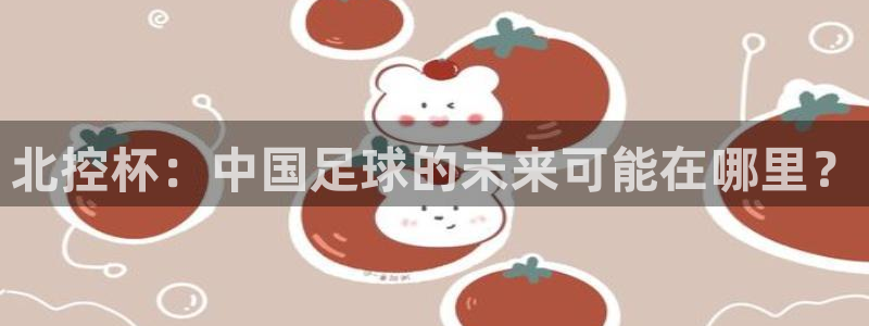 北控杯：中国足球的未来可能在哪里？
