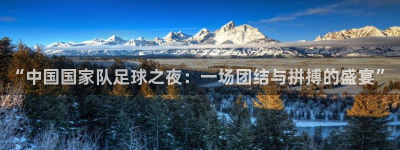  “中国国家队足球之夜：一场团结与拼搏的盛宴”
