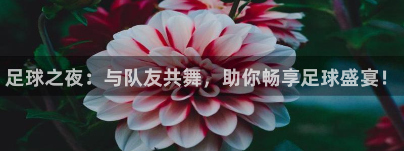  足球之夜：与队友共舞，助你畅享足球盛宴！