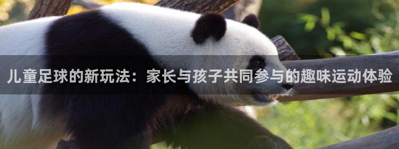  儿童足球的新玩法：家长与孩子共同参与的趣味运动体验