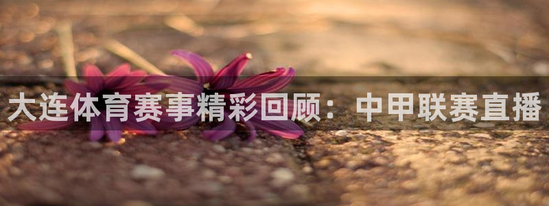 新球体育网球比分：大连体育赛事精彩回顾：中甲联赛直播