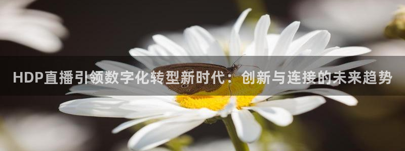 新球体育比分：HDP直播引领数字化转型新时代：创新与连接的未来趋势