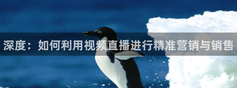 新球体育比分：深度：如何利用视频直播进行精准营销与销售