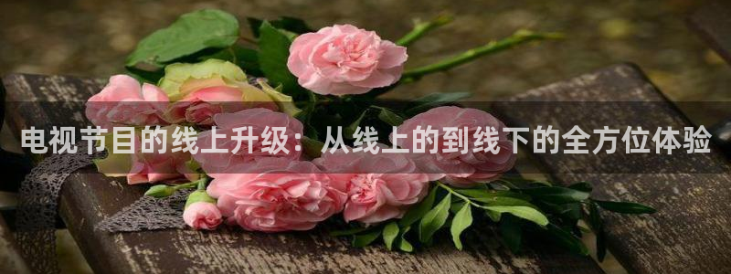 新球足球：电视节目的线上升级：从线上的到线下的全方位体验