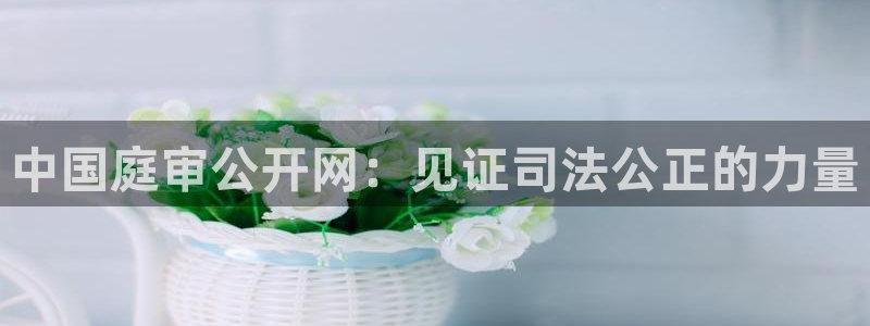 新球体育足球即时比分：中国庭审公开网：见证司法公正的力量