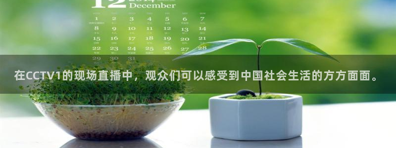 新球体育直播：在CCTV1的现场直播中，观众们可以感受到中国社会生活的方方面面。