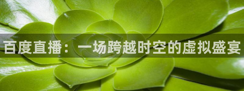 新球体育足球官网：百度直播：一场跨越时空的虚拟盛宴