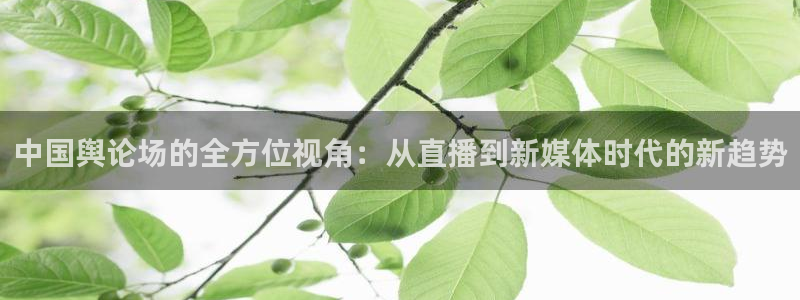 新球体育直播