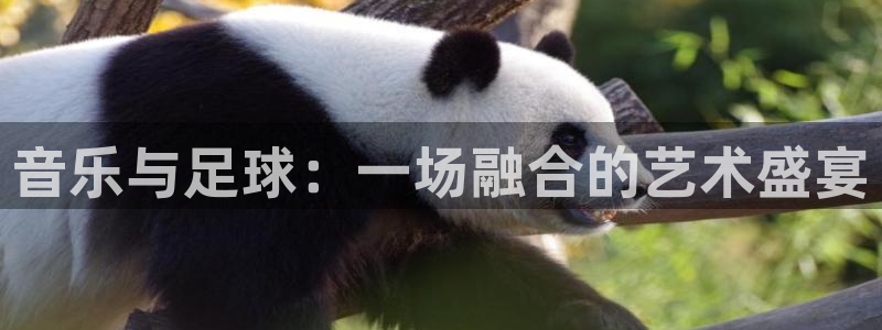 音乐与足球：一场融合的艺术盛宴