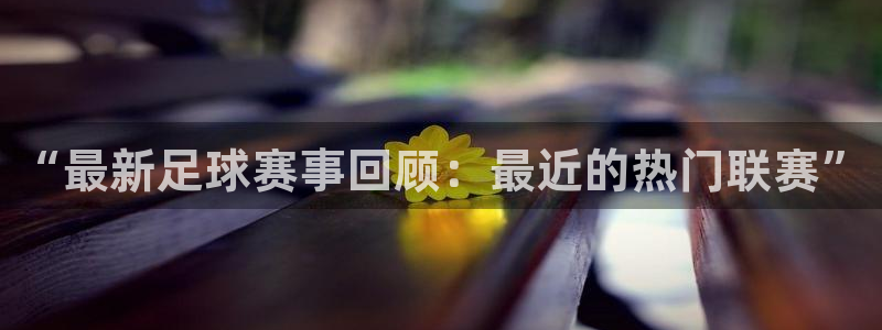 “最新足球赛事回顾：最近的热门联赛”