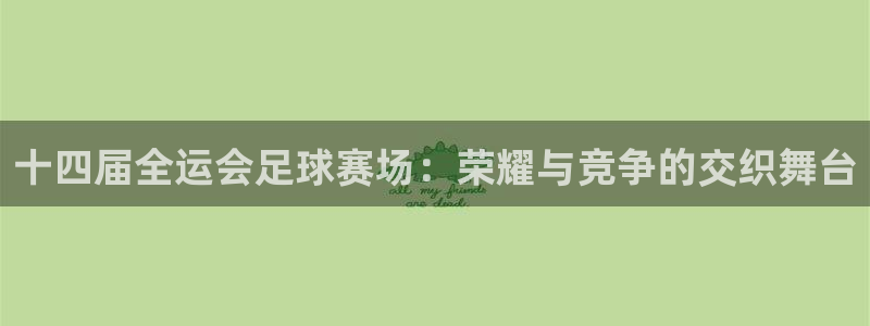 十四届全运会足球赛场：荣耀与竞争的交