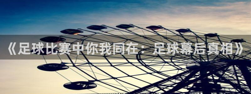 《足球比赛中你我同在：足球幕后真相》