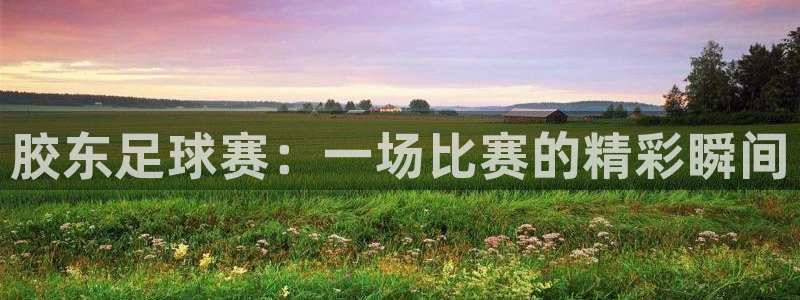 胶东足球赛：一场比赛的精彩瞬间