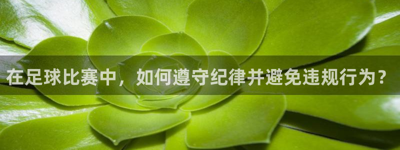 在足球比赛中，如何遵守纪律并避免违规