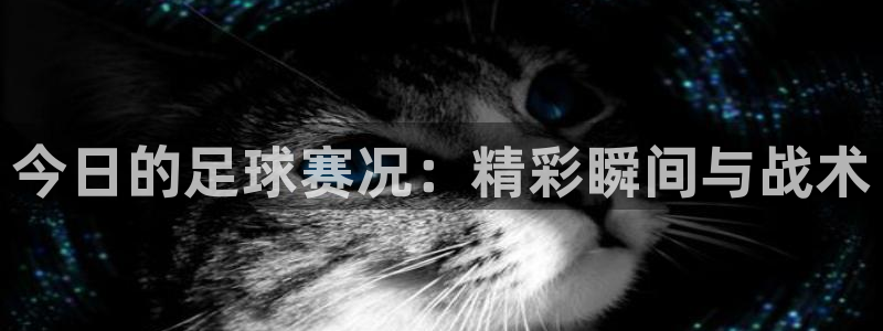 今日的足球赛况：精彩瞬间与战术