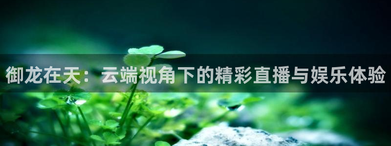 新球体育比分：御龙在天：云端视角下的精彩直播与娱乐体验