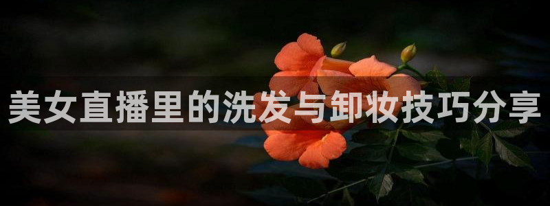 新球：美女直播里的洗发与卸妆技巧分享