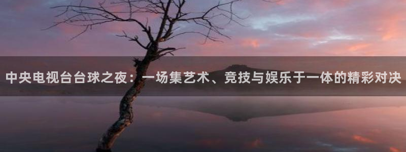 新球体育足球即时比分：中央电视台台球之夜：一场集艺术、竞技与娱乐于一体的精彩对决