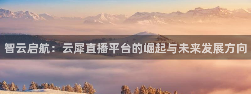 新球足球：智云启航：云犀直播平台的崛起与未来发展方向