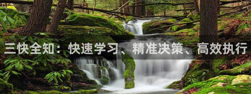 新球网直播：三快全知：快速学习、精准决策、高效执行