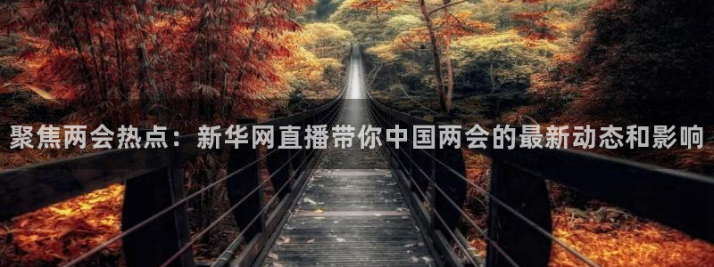 新球体育足球